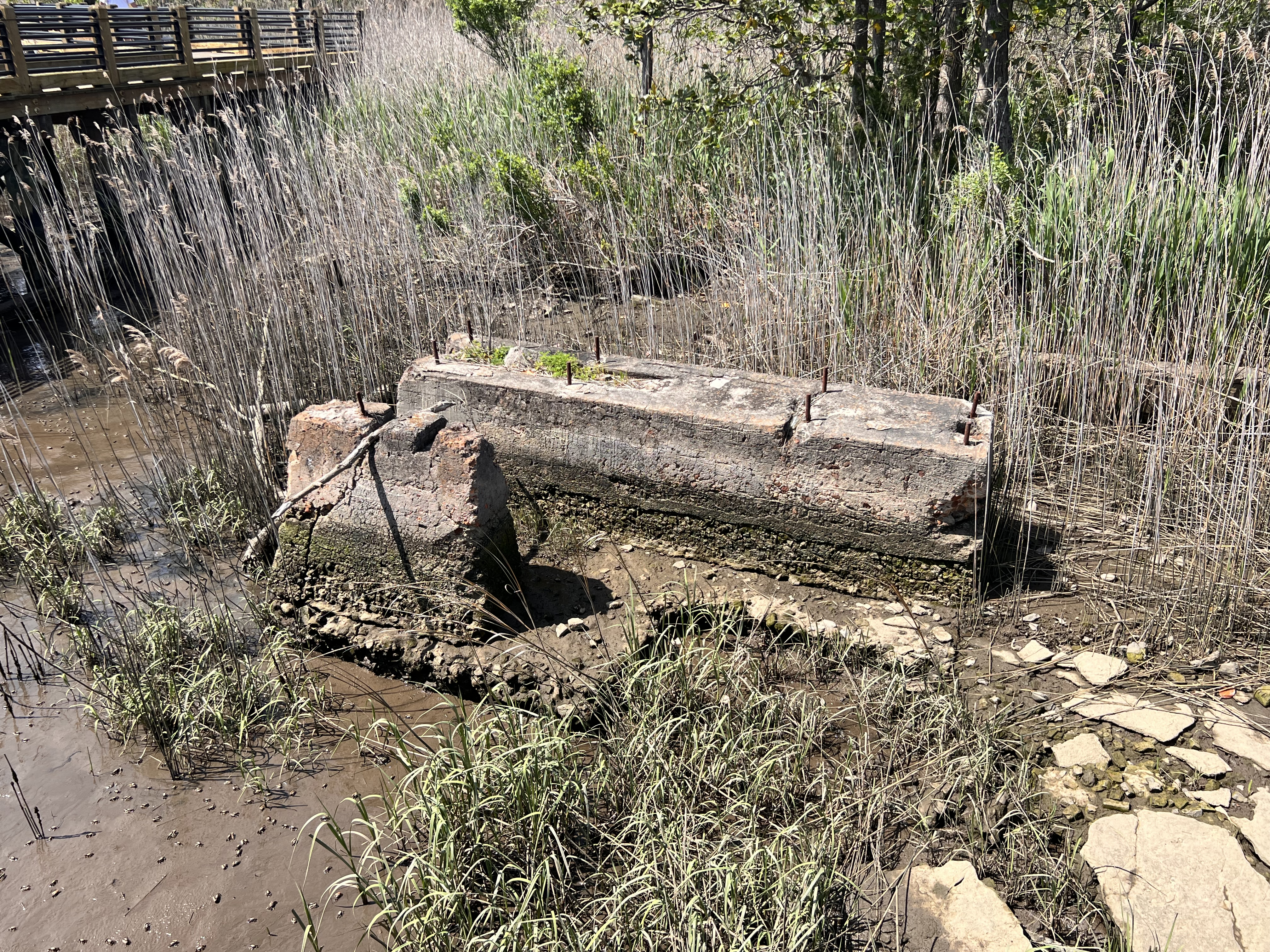 ./2023/05 - Toni Adventures/IMG_2773(1).jpg